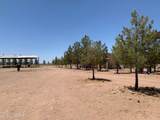 3515 Gleeson Road - Photo 46
