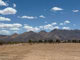 3515 Gleeson Road - Photo 49