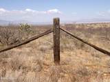  Jeffords Trail - Photo 1