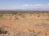  Jeffords Trail - Photo 4