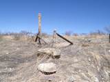  Jeffords Trail - Photo 7