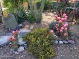 4631 Camino Campero - Photo 31