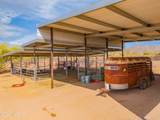 11265 Orange Grove Road - Photo 38