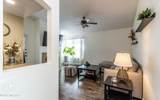 6470 Tierra De Las Catalinas - Photo 13
