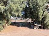1156 Pomerene Road - Photo 49
