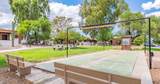 277C Paseo Pena - Photo 19