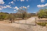 6610 Dimitri Lane - Photo 13