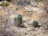 4250 Saguaro Monument Place - Photo 11