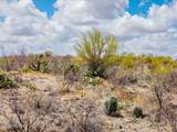 4250 Saguaro Monument Place - Photo 12