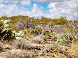 4250 Saguaro Monument Place - Photo 13