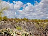 4250 Saguaro Monument Place - Photo 19