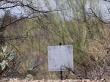 4250 Saguaro Monument Place - Photo 22