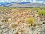 4250 Saguaro Monument Place - Photo 46