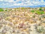 4250 Saguaro Monument Place - Photo 48