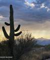 4198 Saguaro Monument Place - Photo 21