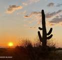 4198 Saguaro Monument Place - Photo 30