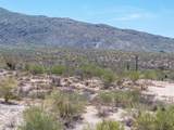 4198 Saguaro Monument Place - Photo 5