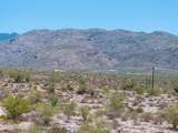 4198 Saguaro Monument Place - Photo 6