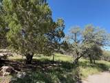 36 Collie Drive - Photo 36