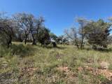 36 Collie Drive - Photo 38