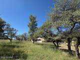 36 Collie Drive - Photo 41