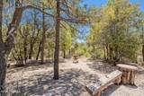 9865 Willow Loop - Photo 47