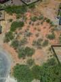 TBD Morning Glory Court - Photo 5