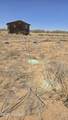 9.97 acres Kit Carson Road - Photo 3