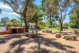 277 Paseo Sarta - Photo 18