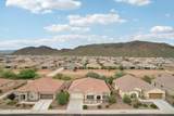 9954 Saguaro Bloom Way - Photo 42