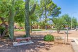 1949 Camino Serna - Photo 23