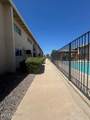 1776 Palo Verde Avenue - Photo 12