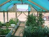 10023 Bell Road - Photo 48