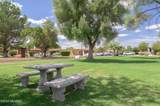 265 Paseo Sarta - Photo 5