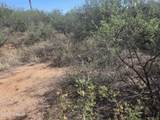 912 Pesa Court - Photo 6