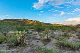 1079 Tortolita Mountain Circle - Photo 2
