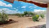 278 Camino Magnifico - Photo 23