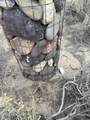 TBA Mohave (069) Street - Photo 3