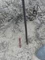 TBA Mohave (069) Street - Photo 6