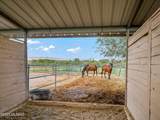 4489 Ocotillo Road - Photo 41