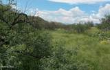  Goodenough Trail - Photo 1
