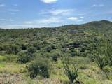  Goodenough Trail - Photo 11