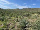  Goodenough Trail - Photo 12