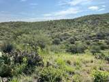  Goodenough Trail - Photo 3