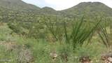  Goodenough Trail - Photo 4