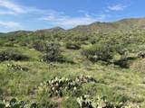  Goodenough Trail - Photo 7