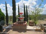 1112 Calle Carmelita - Photo 16