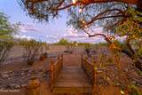 10680 Camino Tesote Place - Photo 44