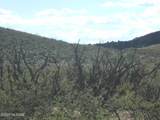 36.8 Acres Old Stewart Road - Photo 20