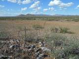 36.8 Acres Old Stewart Road - Photo 30